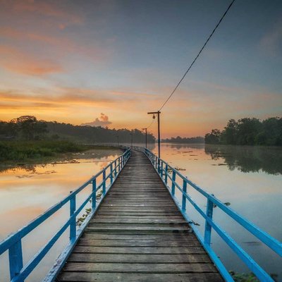 The bridge