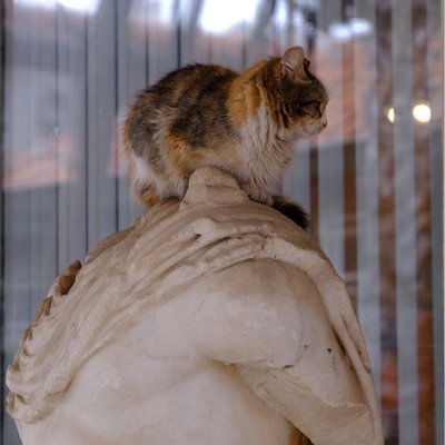 Cat sculpture🤭