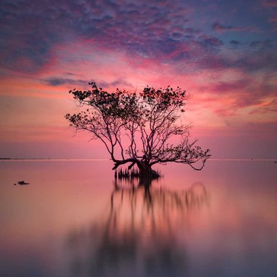 Pantai Ya'ang Labuhan Lamongan