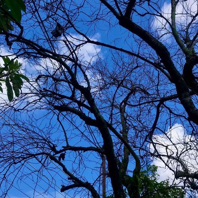 blue sky