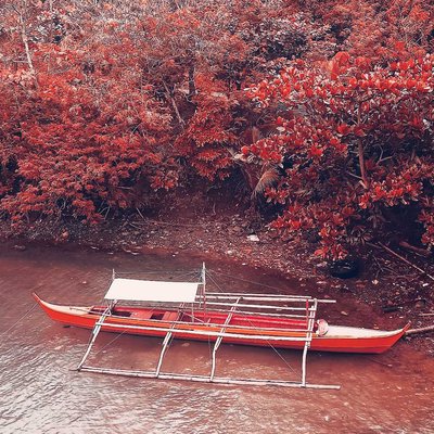 Life's Color
