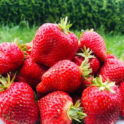 #PindleGem #food🍓 “Listen to the strawberries. Soak up the sun, let your ideas ripen, jam to your own beat.” Leslie Duthlie