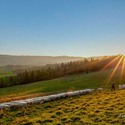 Sielskie klimaty 🌄🐏🐑📸🥰