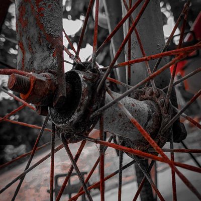 Cycle Ring 