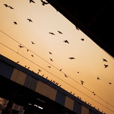 freeze the moment @pindleindia @pindle_india @pindle