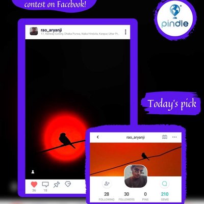 Pindle today's pick 