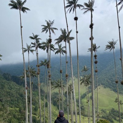 🇨🇴 Salento, Columbia