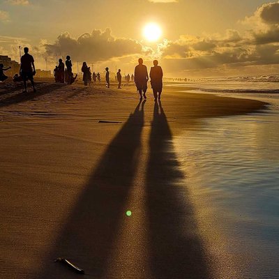 THE LONG SHADOW 