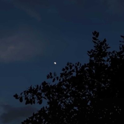 🌙 Moon