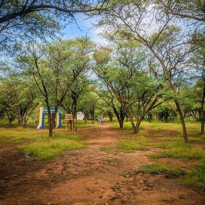 Taman Hutan Kota Kaombona Palu