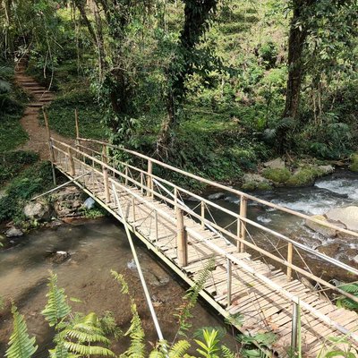 Bamboo Bridge
