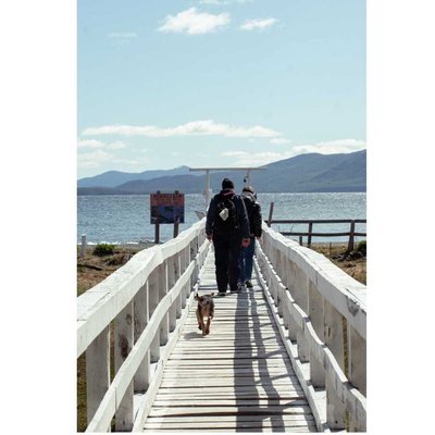 El puente de los deseos 🔔