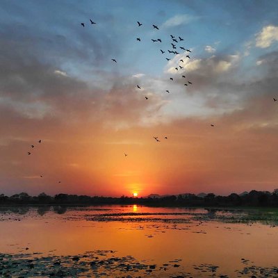 Beauty of Sunset 