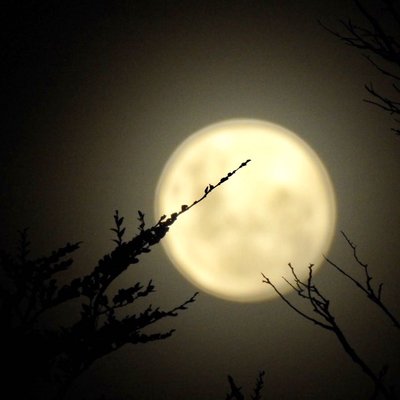 Luna llena en la Misión. Ushuaia 