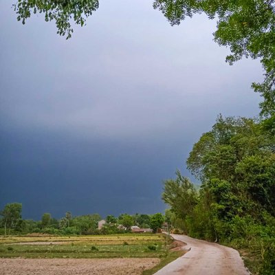 Weather