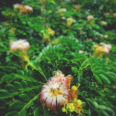 Nature's beauty 