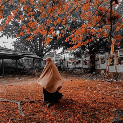Backpose
