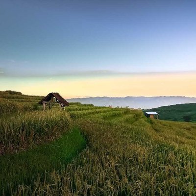 Sawah