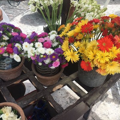 Flowers 🌸 