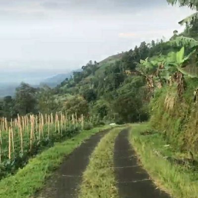 jalan setapak