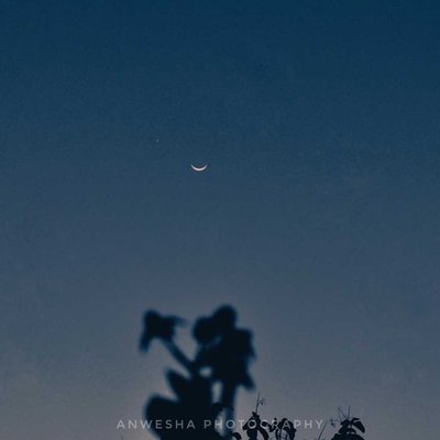 Selenophile🌙