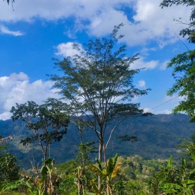 Pemandangan