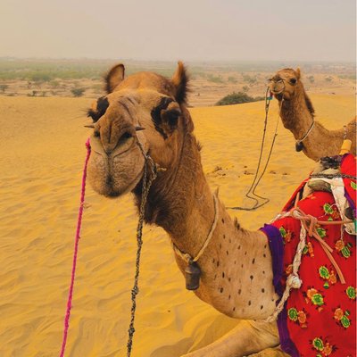 📍Khuri Desert Safari, Jaisalmer, Rajasthan
