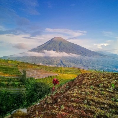 gagahnya gunung sindoro