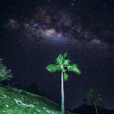 Landscape Night