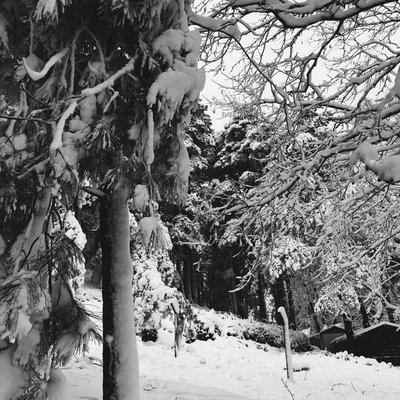 ❄️
