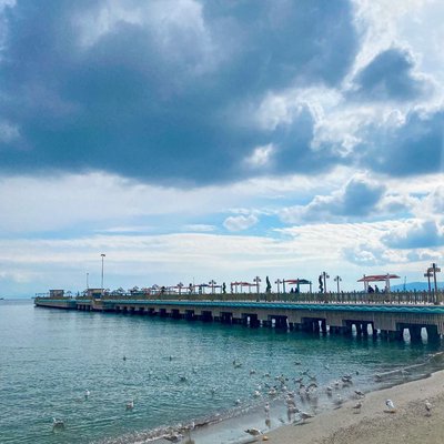 Martılar ve deniz 🪶
