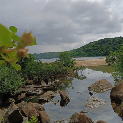 hoi ha - saikung 