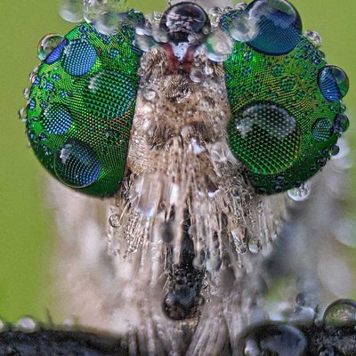 macro extreme