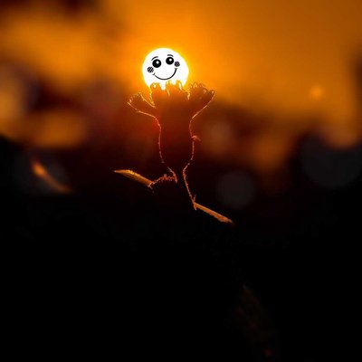 Creativity wid sun☀️