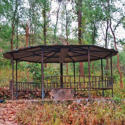 Inside the jungle 