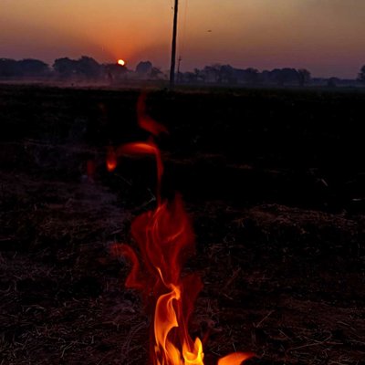 sun