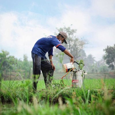 Aktivitas petani sebelum penyemprotan pestisida