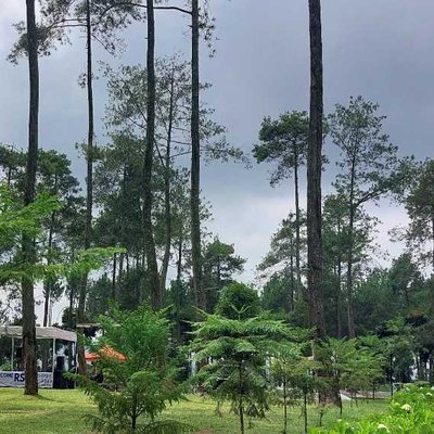 Orchid Forest Cikole