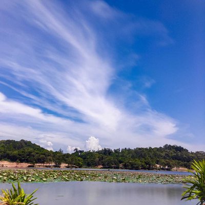 Beautiful view for chill