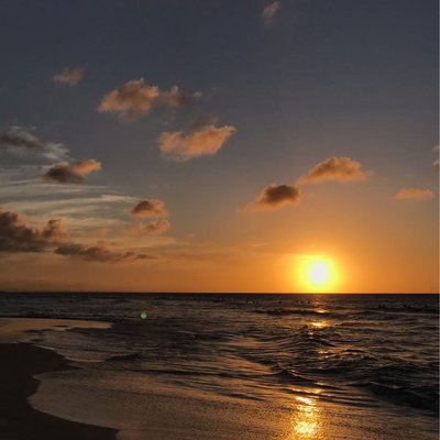 🌅 