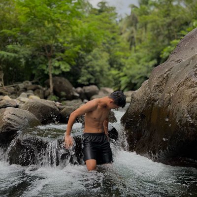 🌴🍃
