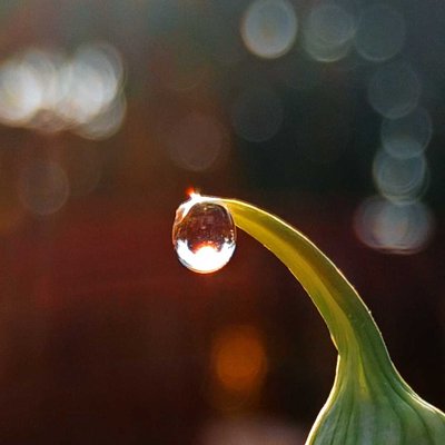 how is the Bokeh background?:)