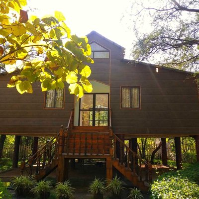 TREE 🌲 HOUSE...