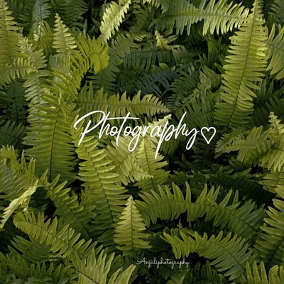 Nature 💚🌿