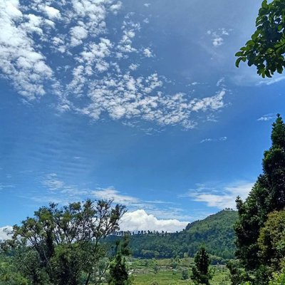 Blue Sky