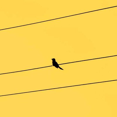 minimalist