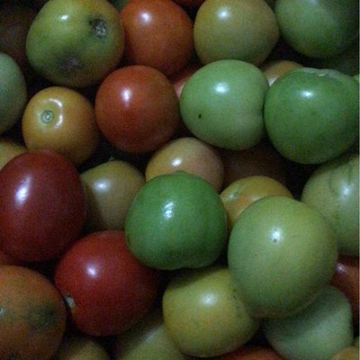 tomat