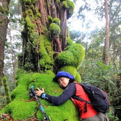 Cagar Alam Gunung Mutis