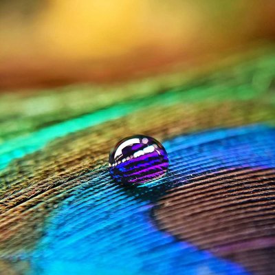 water drop 