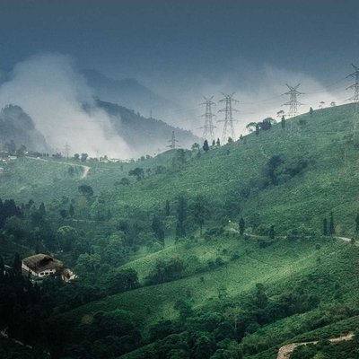 Tingling, Mirik, India ❤️